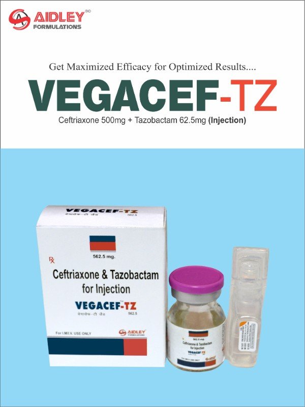 VEGACEF-TZ 562.50
